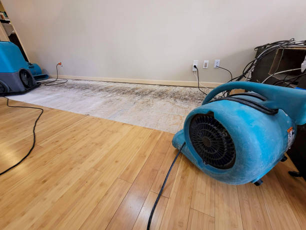 Reliable Basement Flood Cleanup contractor in Vallejo, CA by Hirex Water Damage