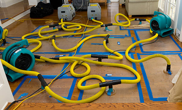 Professional Basement Flood Cleanup technician working in Vallejo, CA